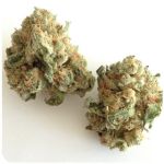 Шишки "White Widow"  (Белая вдова)  Гидропоника -  Бошка VHQ в Гусиноозёрске