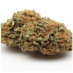 Шишки AK47  (Гидропоника, Бошка) VHQ в Гусиноозёрске