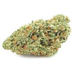 Шишки OG Kush  (Гидропоника, бошки) VHQ в Гусиноозёрске